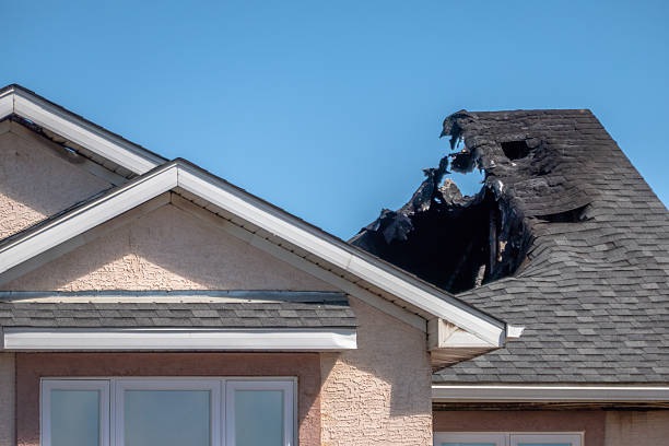 Top rated local Odor Removal specialists in Savage, MN